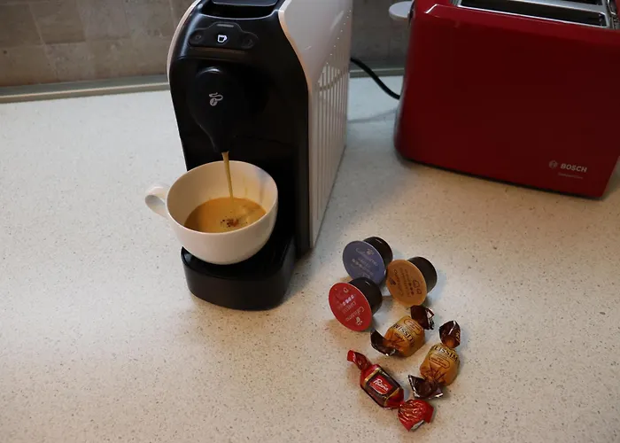 Daire Nicolas Kaloşvar